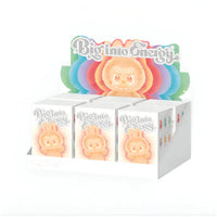Whole Set 6 Boxes