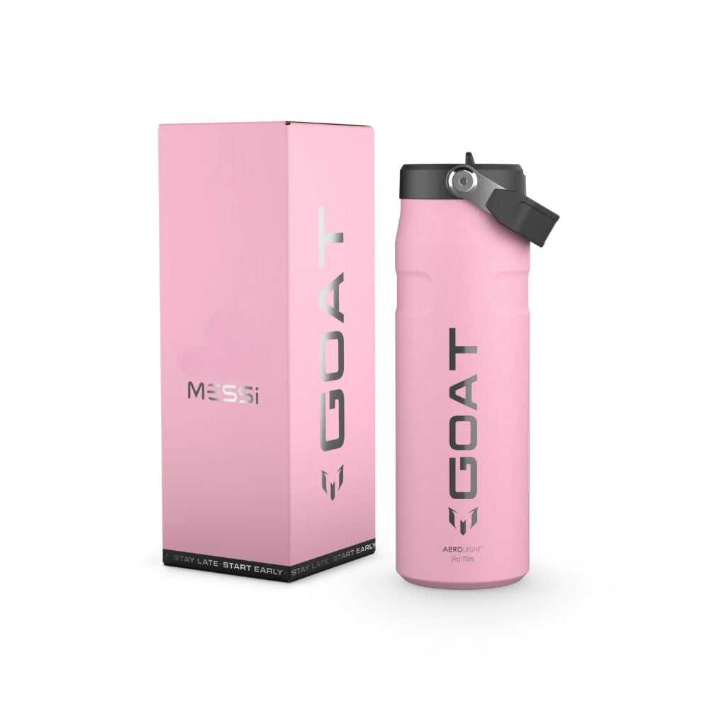 24oz Stainless Steel Bottle With Flip Straw