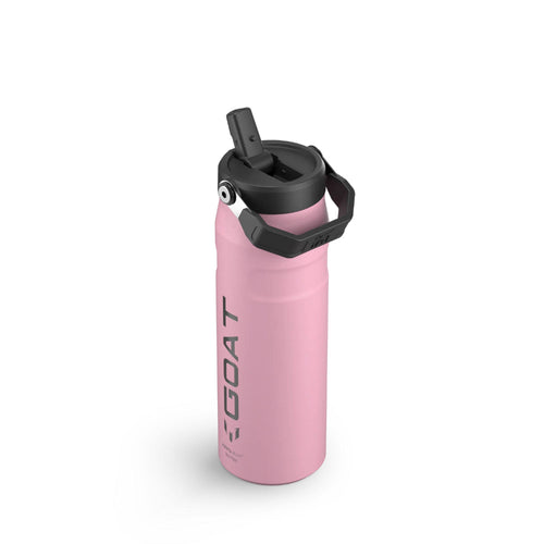 24oz Stainless Steel Bottle With Flip Straw