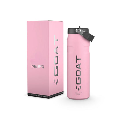 24oz Stainless Steel Bottle With Flip Straw