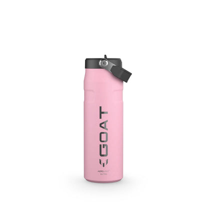 24oz Stainless Steel Bottle With Flip Straw